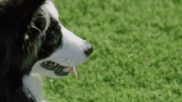 2017年＊流行，是時(shí)候給你點(diǎn)綠色瞧瞧了～