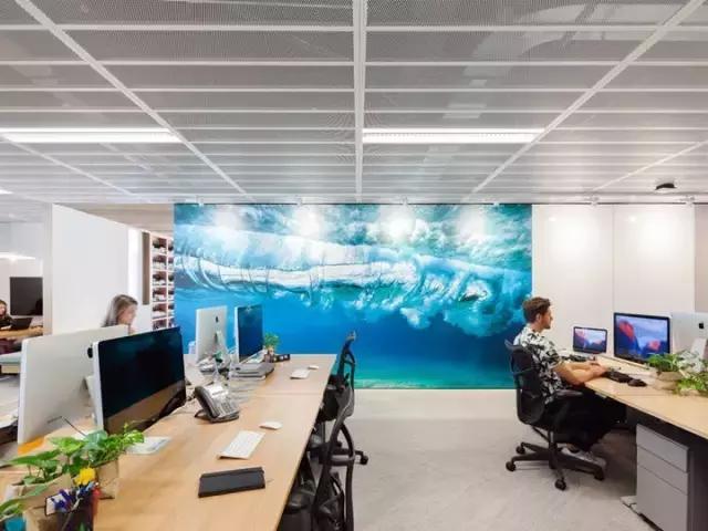 2000m2 像家一樣溫馨的辦公室，看完我心動(dòng)了